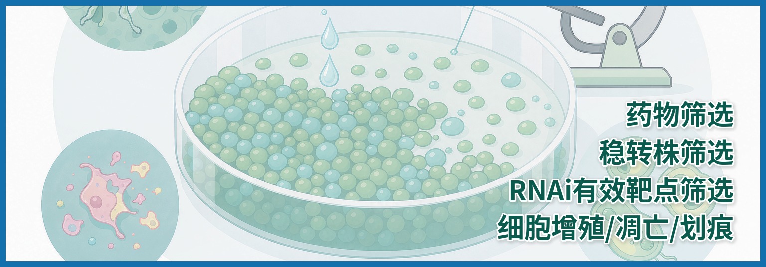 细胞实验