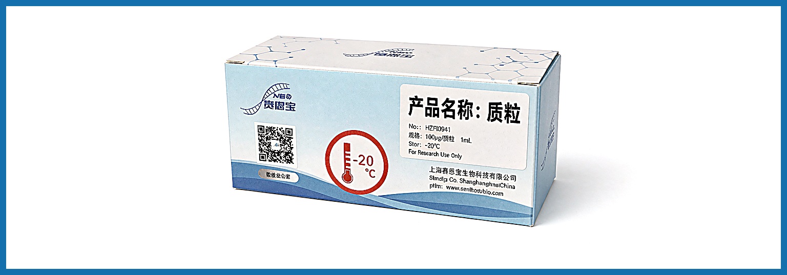 shRNA 质粒三保一