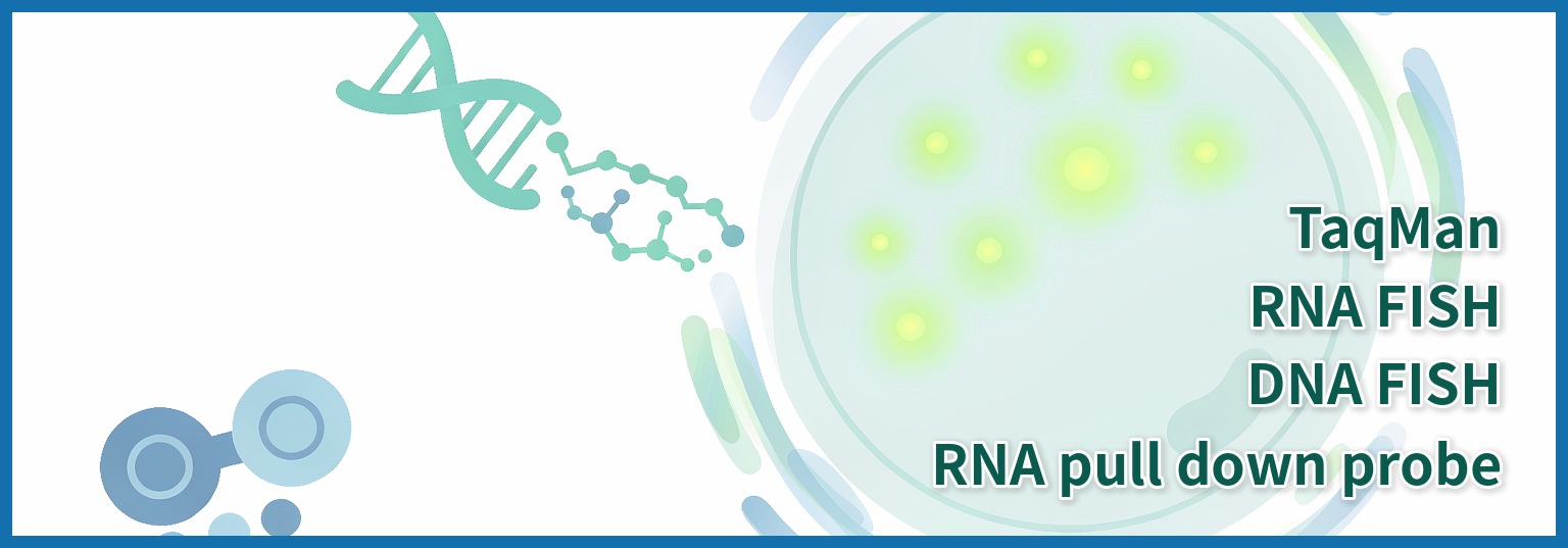 RNA FISH 探针