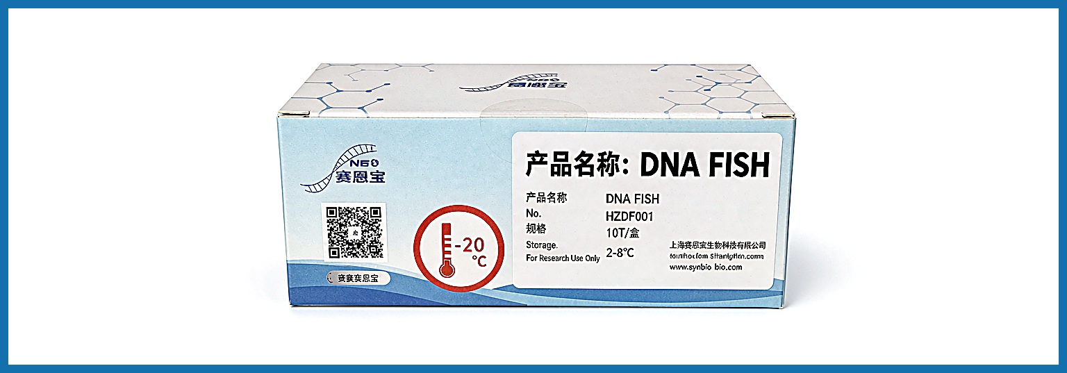 DNA FISH 探针