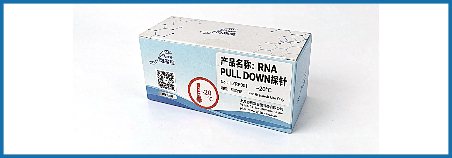 RNA Pull-Down 探针